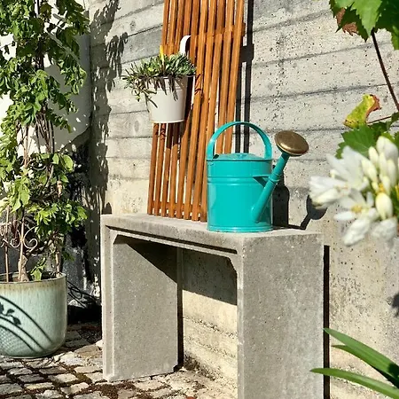 Modernes Mit Blick Ins Gruene