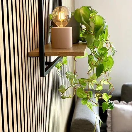 Appartement Modernes Mit Blick Ins Gruene