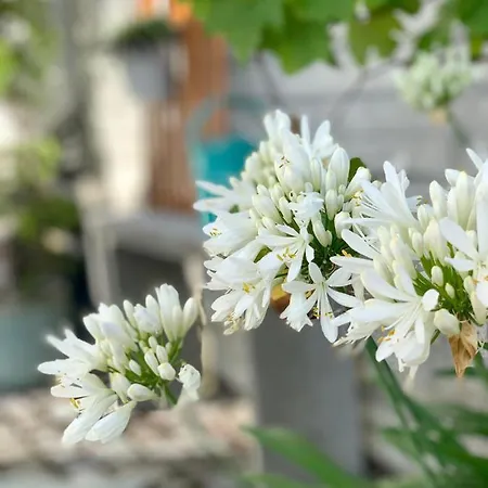 Modernes Mit Blick Ins Gruene * Kißlegg