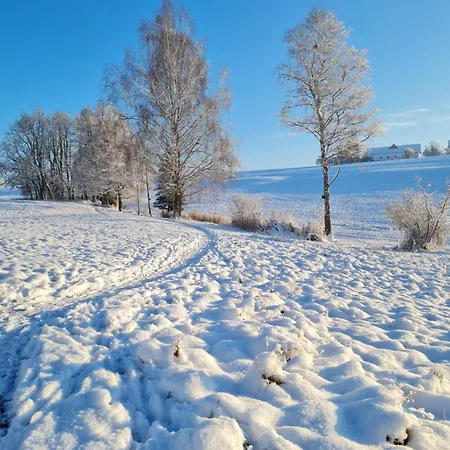 Modernes Mit Blick Ins Gruene *