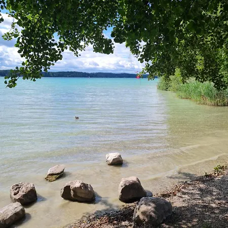 Modernes Mit Blick Ins Gruene Daire