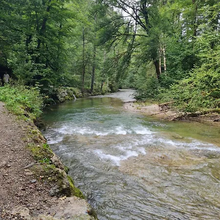 Appartement Modernes Mit Blick Ins Gruene *