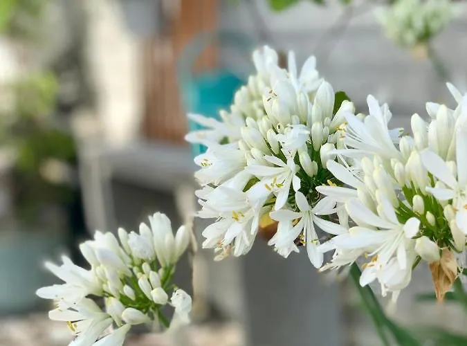 Modernes Mit Blick Ins Gruene * Kisslegg